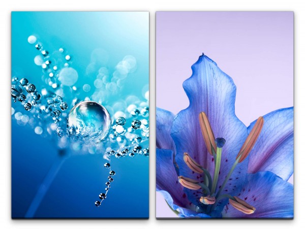 Paul Sinus Art 2 Bilder je 60x90cm Wasserperlen Wassertropfen Blume Blau Blüte Dekorativ Makrofotografie