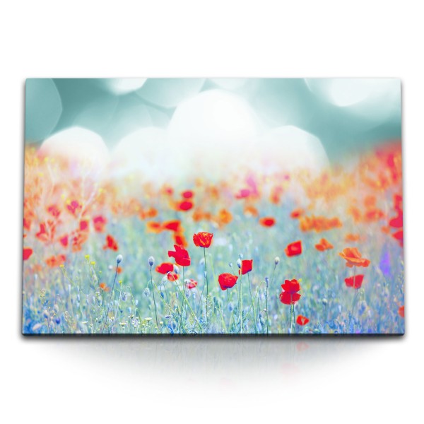 Paul Sinus Art 120x80cm Wandbild auf Leinwand Rote Blumen Blüten Wildblumen Feldblumen Hellblau