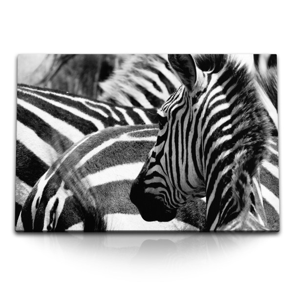 120x80cm Wandbild auf Leinwand Zebras Schwarz Weiß Tierfotografie Afrika Wildnis