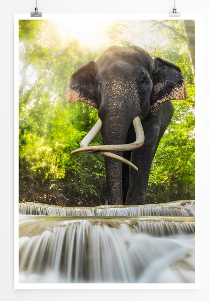 Paul Sinus Art 90x60cm Poster Tierfotografie Elefant am Erawan Wasserfall Thailand