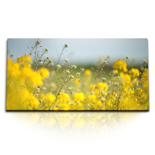 Paul Sinus Art Kunstdruck Bilder 120x60cm Rapsfeld Gelb Feld Natur Sonnenschein