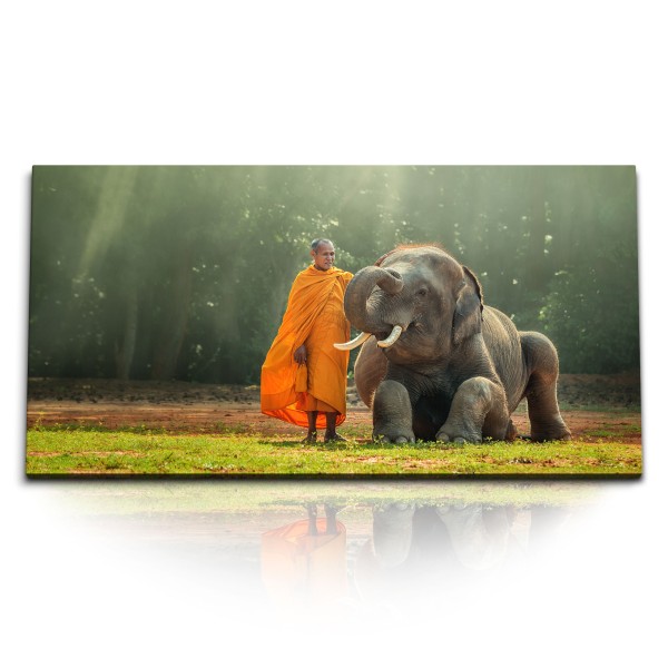 Paul Sinus Art Kunstdruck Bilder 120x60cm Asiatischer Elefant Thailand Mönch Sonnenstrahlen Natur