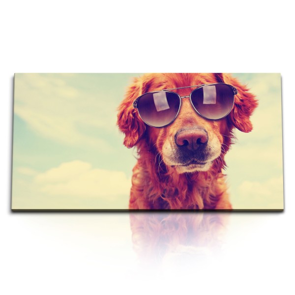 Paul Sinus Art Kunstdruck Bilder 120x60cm Hund mit Sonnenbrille Tierfotografie Sommer