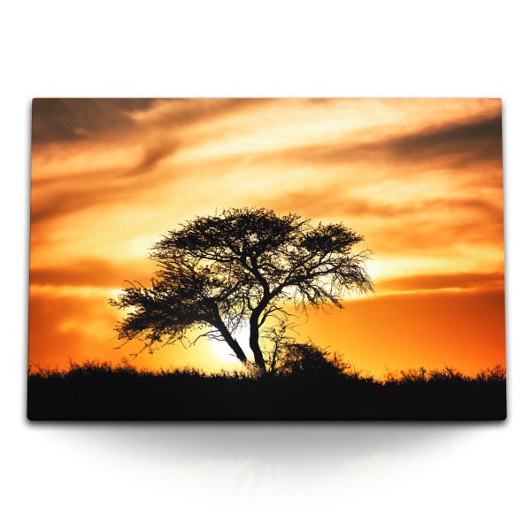 Paul Sinus Art 120x80cm Wandbild auf Leinwand Abendrot Abenddämmerung Natur Baum Afrika roter Himmel