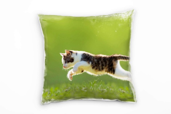 Paul Sinus Art Tiere, kleine Katze jagt Schmetterling, grün, braun Deko Kissen 40x40cm für Couch Sofa Lounge Zierki