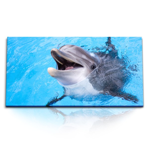 Paul Sinus Art Kunstdruck Bilder 120x60cm Delfin Tierfotografie Blau Hellblau Meer