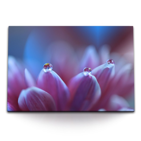 Paul Sinus Art 120x80cm Wandbild auf Leinwand Makrofotografie Blume Blüte Wassertropfen Violett