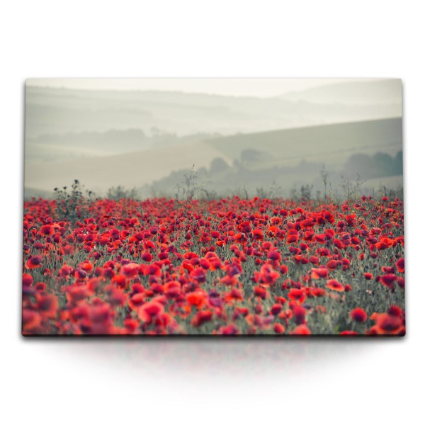 Paul Sinus Art 120x80cm Wandbild auf Leinwand Mohnfeld Mohnblumen Feld rote Blumen Blumenfeld