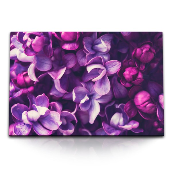 Paul Sinus Art 120x80cm Wandbild auf Leinwand Orchideen Blüten Blumen Lila Violett Kunstvoll