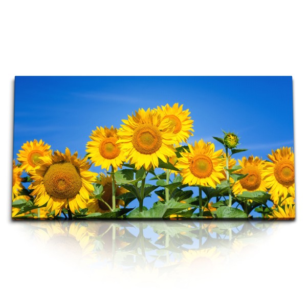 Paul Sinus Art Kunstdruck Bilder 120x60cm Blauer Himmel Sonnenblumen Sommer gelbe Blumen