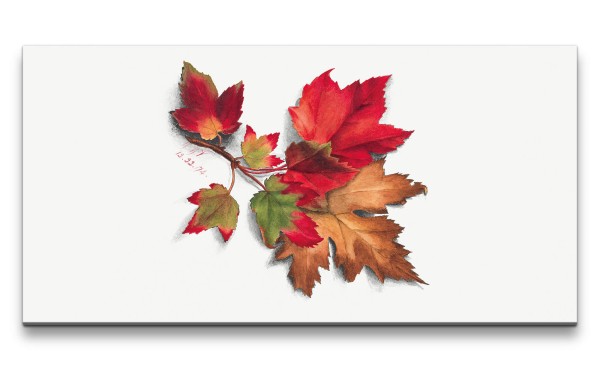 Paul Sinus Art Remaster 120x60cm Botanische Vintage Illustration Herbstblätter Herbst Dekorativ