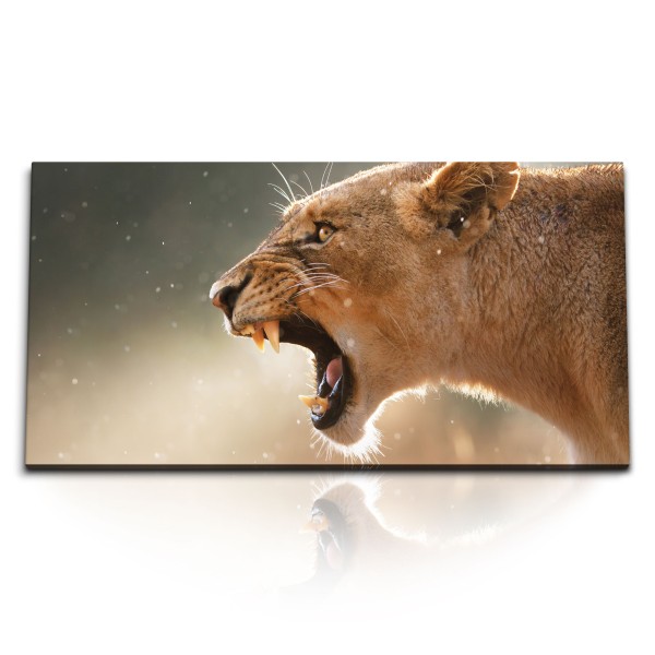 Paul Sinus Art Kunstdruck Bilder 120x60cm Löwin Löwe Afrika Tierfotografie Wildnis Raubkatze