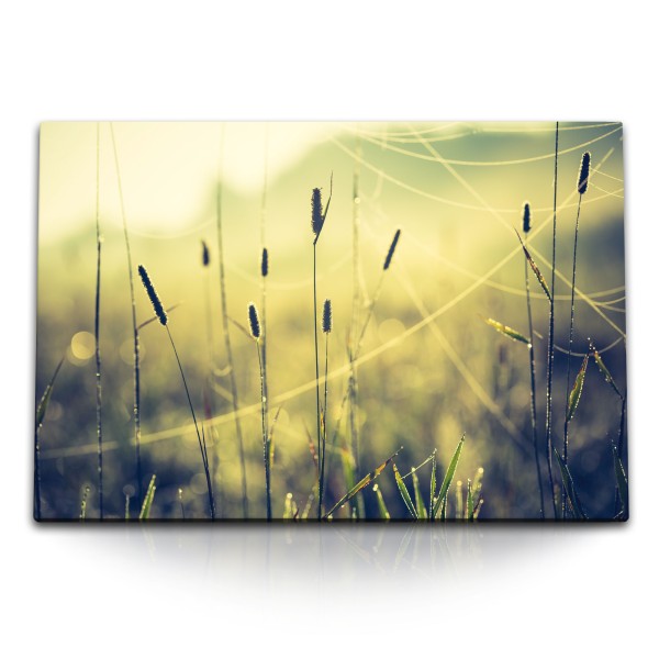 Paul Sinus Art 120x80cm Wandbild auf Leinwand Sonnenuntergang Pflanzen Gewächs Weizen Natur