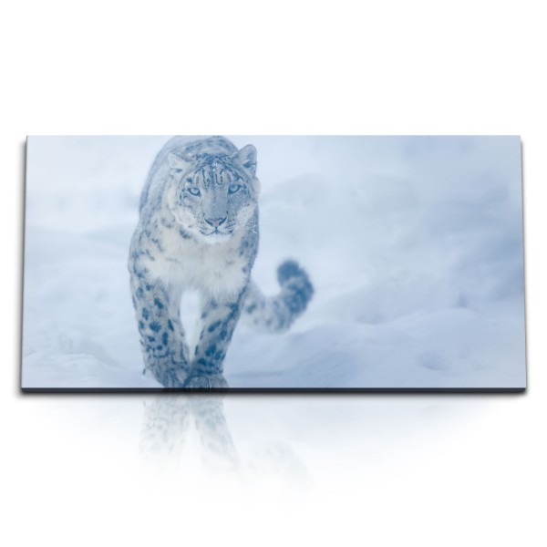 Paul Sinus Art Kunstdruck Bilder 120x60cm Schneeleopard Raubkatze Schnee Winter Wildnis