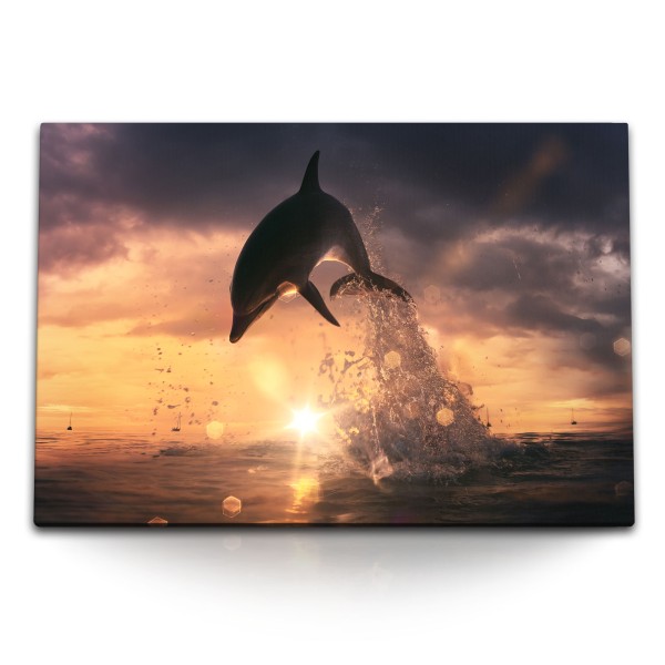 Paul Sinus Art 120x80cm Wandbild auf Leinwand Delphin springt aus den Wasser Sonnenuntergang Meer