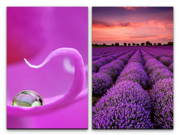 Paul Sinus Art 2 Bilder je 60x90cm Orchidee Wasserperle Lavendel Lavendelfeld Natur Beruhigend Entspannend