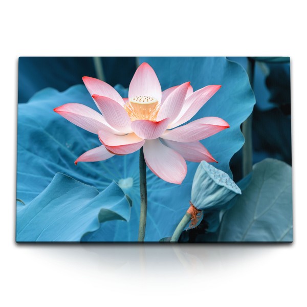 Paul Sinus Art 120x80cm Wandbild auf Leinwand Lotus Lotusblüte Blume Rosa Wasserblume