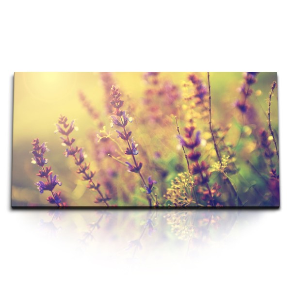 Paul Sinus Art Kunstdruck Bilder 120x60cm Lavendel Blumen Pflanzen Natur Kunstvoll