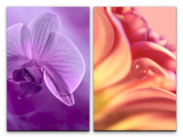 Paul Sinus Art 2 Bilder je 60x90cm Orchidee Blumen Blüten Wassertropfen Sanft Zart Makrofotografie