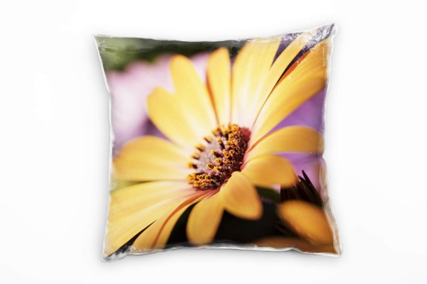 Paul Sinus Art Macro, Blumen, Blüte, gelb, lila Deko Kissen 40x40cm für Couch Sofa Lounge Zierkissen