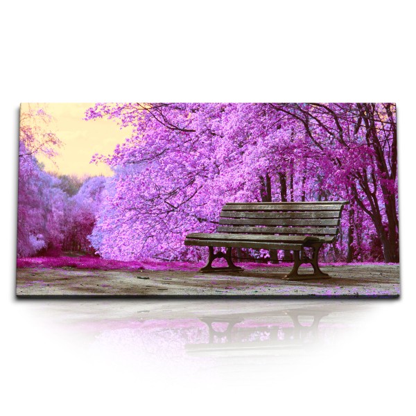 Paul Sinus Art Kunstdruck Bilder 120x60cm Holzbank im Park Frühling Baumblüten Blüten Violett