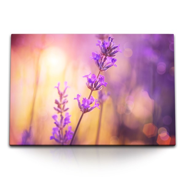 Paul Sinus Art 120x80cm Wandbild auf Leinwand Lavendel Blumen Violett Lila Fotokunst Sonnenschein