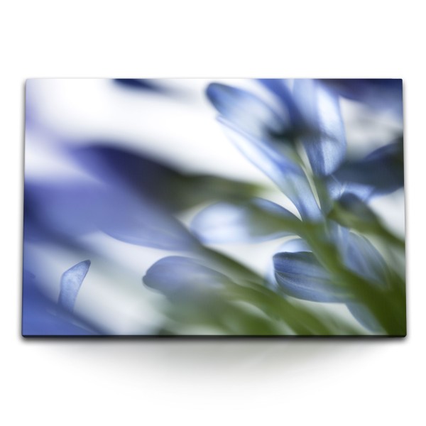 Paul Sinus Art 120x80cm Wandbild auf Leinwand Blumen Blüten Blau Hellblau Nahaufnahme