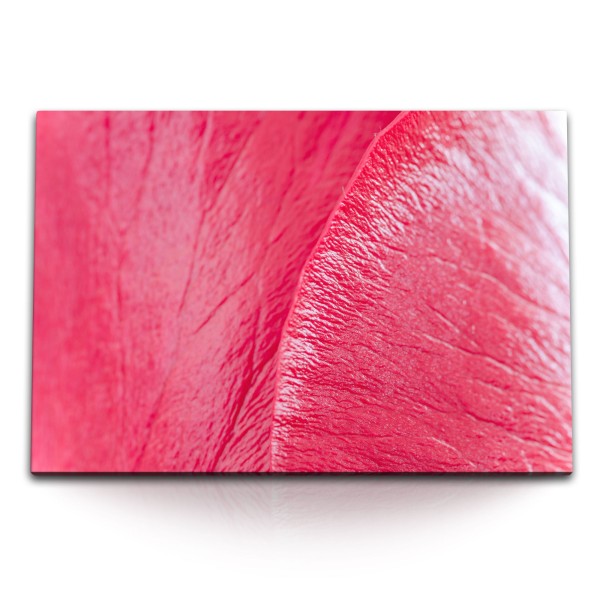 Paul Sinus Art 120x80cm Wandbild auf Leinwand Rosa Blüte Nahaufnahme Blume Makrofotografie