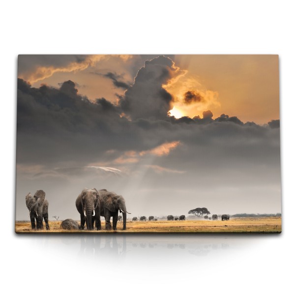 Paul Sinus Art 120x80cm Wandbild auf Leinwand Afrika Landschaft Tierfotografie Elefanten Elefantenherde