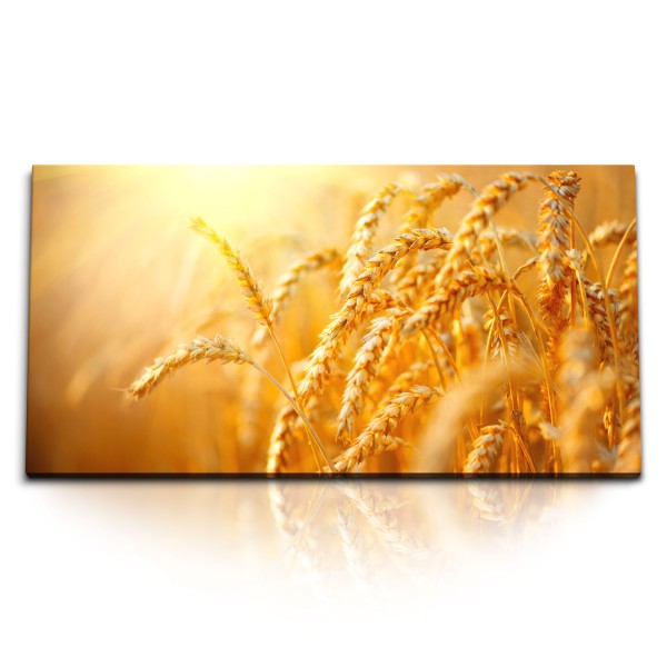 Paul Sinus Art Kunstdruck Bilder 120x60cm Sonnenschein Weizen Natur Sommer Weizenhalme