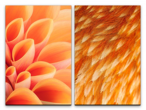 Paul Sinus Art 2 Bilder je 60x90cm Blume Blüte Federkleid Orange Wärme Sanft Makrofotografie