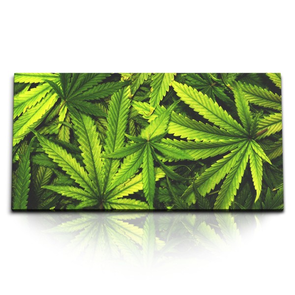 Paul Sinus Art Kunstdruck Bilder 120x60cm Cannabis Hanf Hanfblätter Hanfpflanze Grün Fotokunst