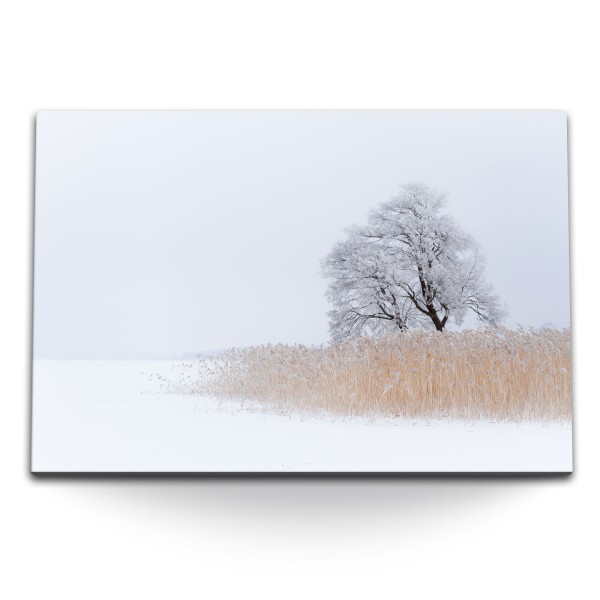 Paul Sinus Art 120x80cm Wandbild auf Leinwand Winterlandschaft Baum Schnee Natur Weiß