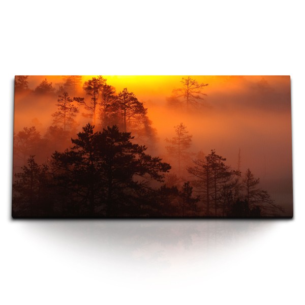 Paul Sinus Art Kunstdruck Bilder 120x60cm Abenddämmerung Abendrot Nebel Wald Bäume Rot