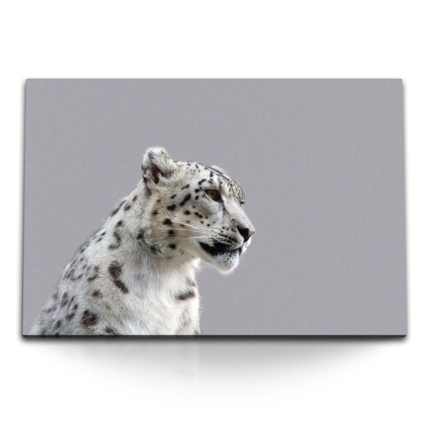 Paul Sinus Art 120x80cm Wandbild auf Leinwand Raubkatze Schneeleopard Leopard Tierfotografie