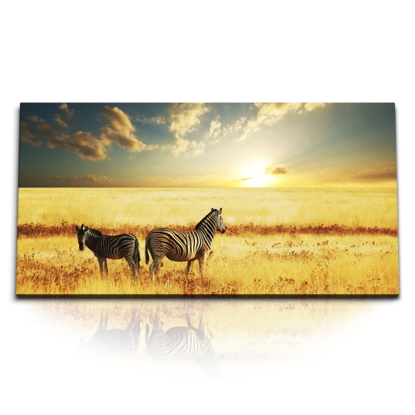 Paul Sinus Art Kunstdruck Bilder 120x60cm Zwei Zebras afrikanische Landschaft Sonnenuntergang