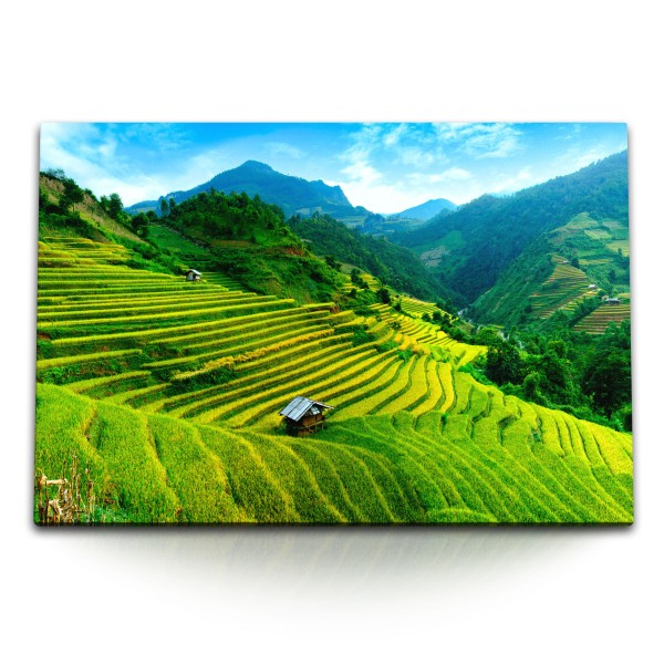 Paul Sinus Art 120x80cm Wandbild auf Leinwand Vietnam Reisfelder Berge Landschaft Grün Natur