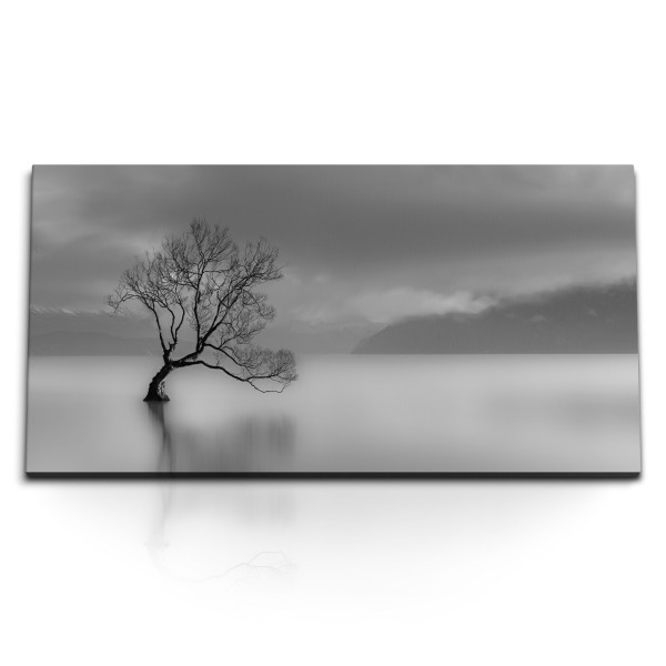 Paul Sinus Art Kunstdruck Bilder 120x60cm Schwarz Weiß Fotografie Baum im See Grau Monochrom