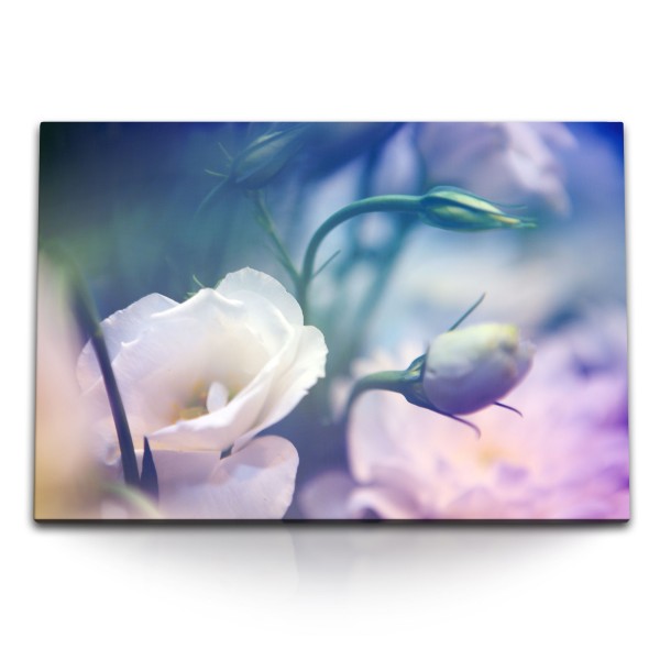 Paul Sinus Art 120x80cm Wandbild auf Leinwand Weiße Blume Blüte Kunstvoll Sommer Fotokunst