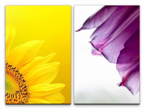 Paul Sinus Art 2 Bilder je 60x90cm Sonnenblume Gelb Makro Blumen Blüte Violett Sommer