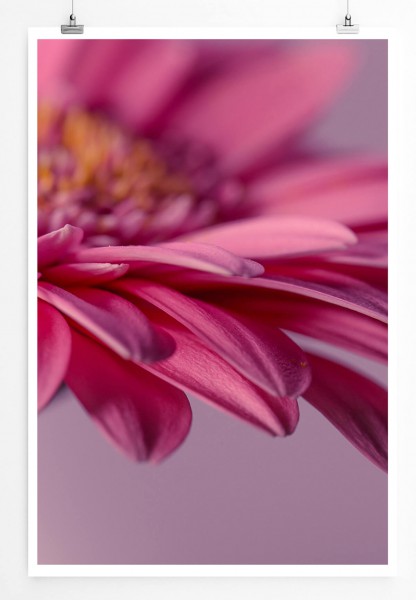 Paul Sinus Art Naturfotografie 60x90cm Poster Pinke Gerbera