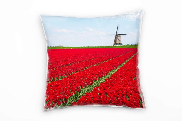 Paul Sinus Art Blumen, rot, blau, Windmühle, Tulpen Deko Kissen 40x40cm für Couch Sofa Lounge Zierkissen