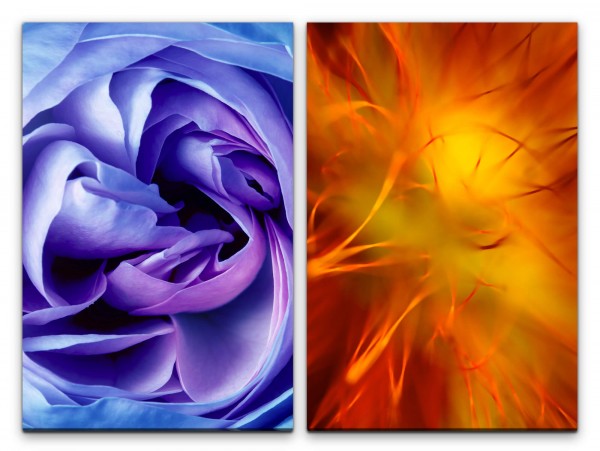 Paul Sinus Art 2 Bilder je 60x90cm Blumenblüte Blüte Violett Rose Orange Nahaufnahme Makro