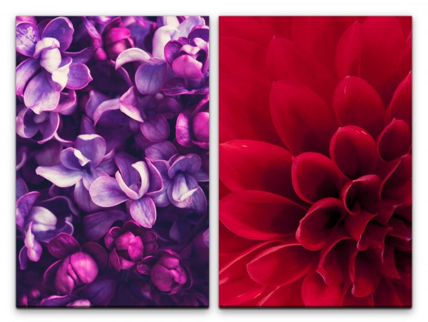 Paul Sinus Art 2 Bilder je 60x90cm Dahlie rote Blüte Blumen Sommer Fotokunst Warm Makrofotografie