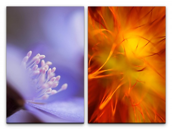 Paul Sinus Art 2 Bilder je 60x90cm Blumen Blau Orange Blüten Nahaufnahme Makro Makrofotografie