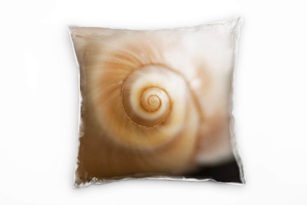 Paul Sinus Art Macro, Muschel, Spirale, beige, braun Deko Kissen 40x40cm für Couch Sofa Lounge Zierkissen