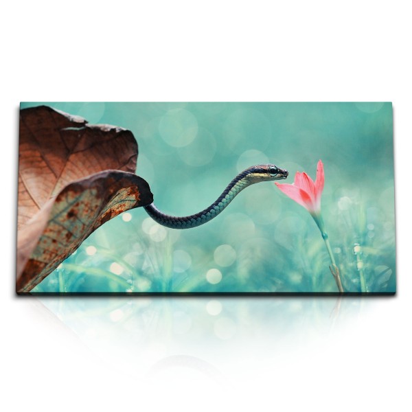 Paul Sinus Art Kunstdruck Bilder 120x60cm Kleine Schlange exotische Blume Tierfotografie Kunstvoll