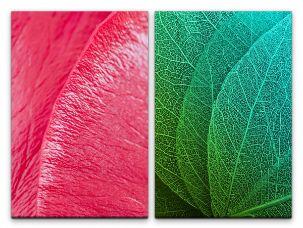 Paul Sinus Art 2 Bilder je 60x90cm Blüte grünes Blatt Blattadern Fotokunst Zart Angenehm Makrofotografie