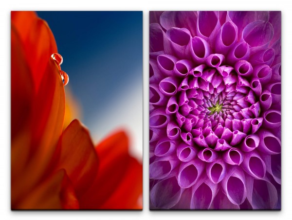 Paul Sinus Art 2 Bilder je 60x90cm Dahlie Blumen Rot Rosa Wassertropfen Sommer Makrofotografie