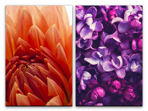 Paul Sinus Art 2 Bilder je 60x90cm Dahlie Blumen Blüten Kunstvoll Fotokunst Nahaufnahme Beruhigend